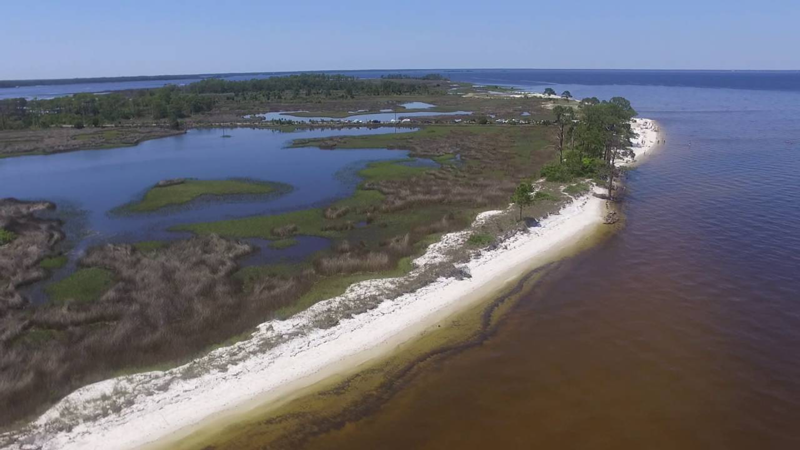 Scenic Coastal Views